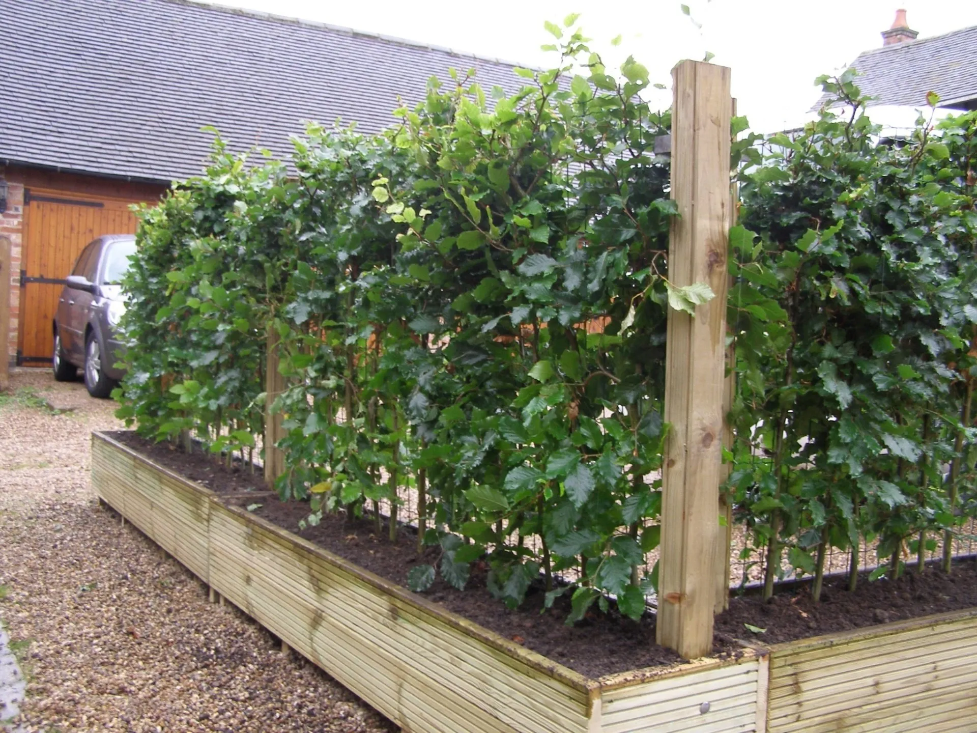 Timber Planter Boxes detail